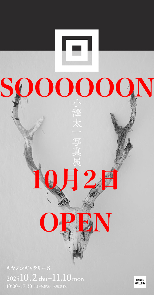 小澤太一 (@kozawataichi) / Posts / X