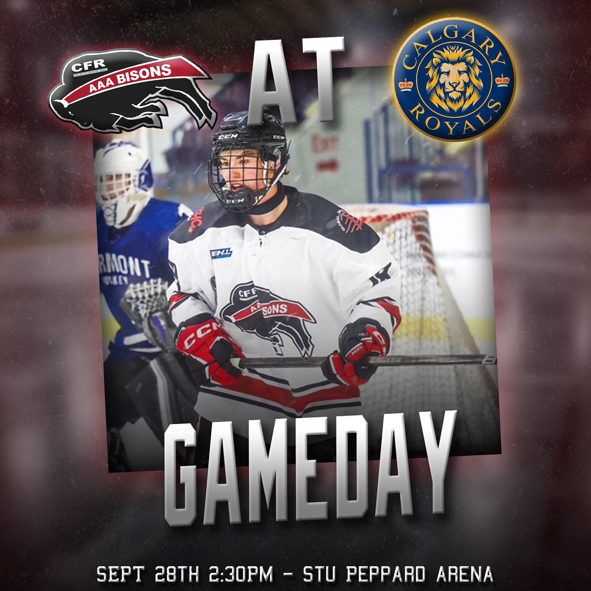 GAMEDAY🦬

The Bisons hit the road for an afternoon slate vs the Royals

2:30PM - Stu Peppard Arena

Live Stream available on @flohockey 

#HERD