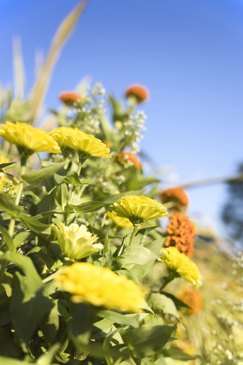 みんないい踊りをしてくれて発表会が終わりを迎え、
直接参加してはないけどTGSが終わりTLにはお疲れ様とかが流れ、
お祭りが終わった感…

また何かワクワクを作ろう！！