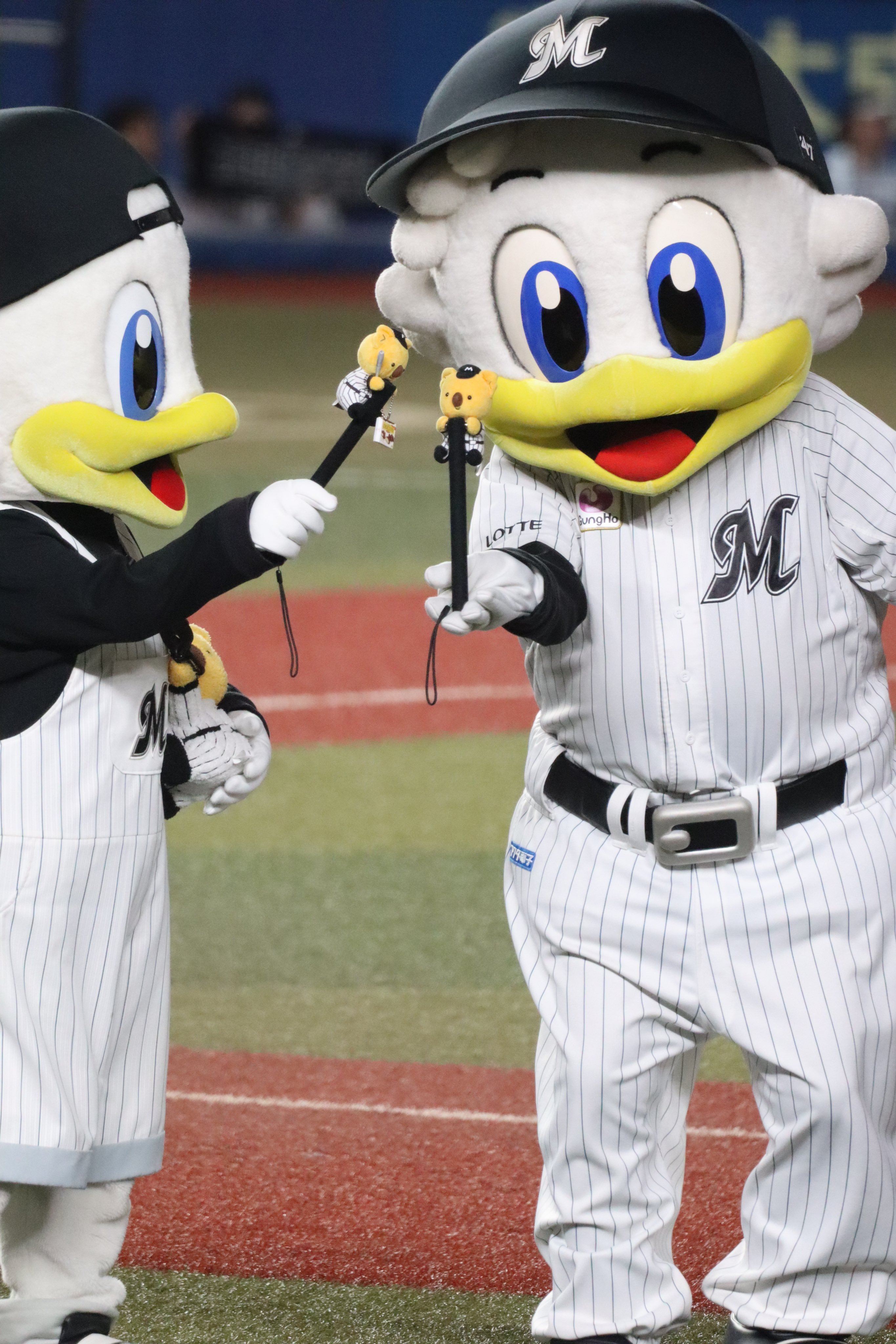 𝗛𝗔𝗥𝗨 on X: 