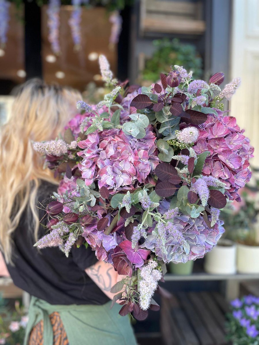 venus flytrap❤️‍🔥 tweet media