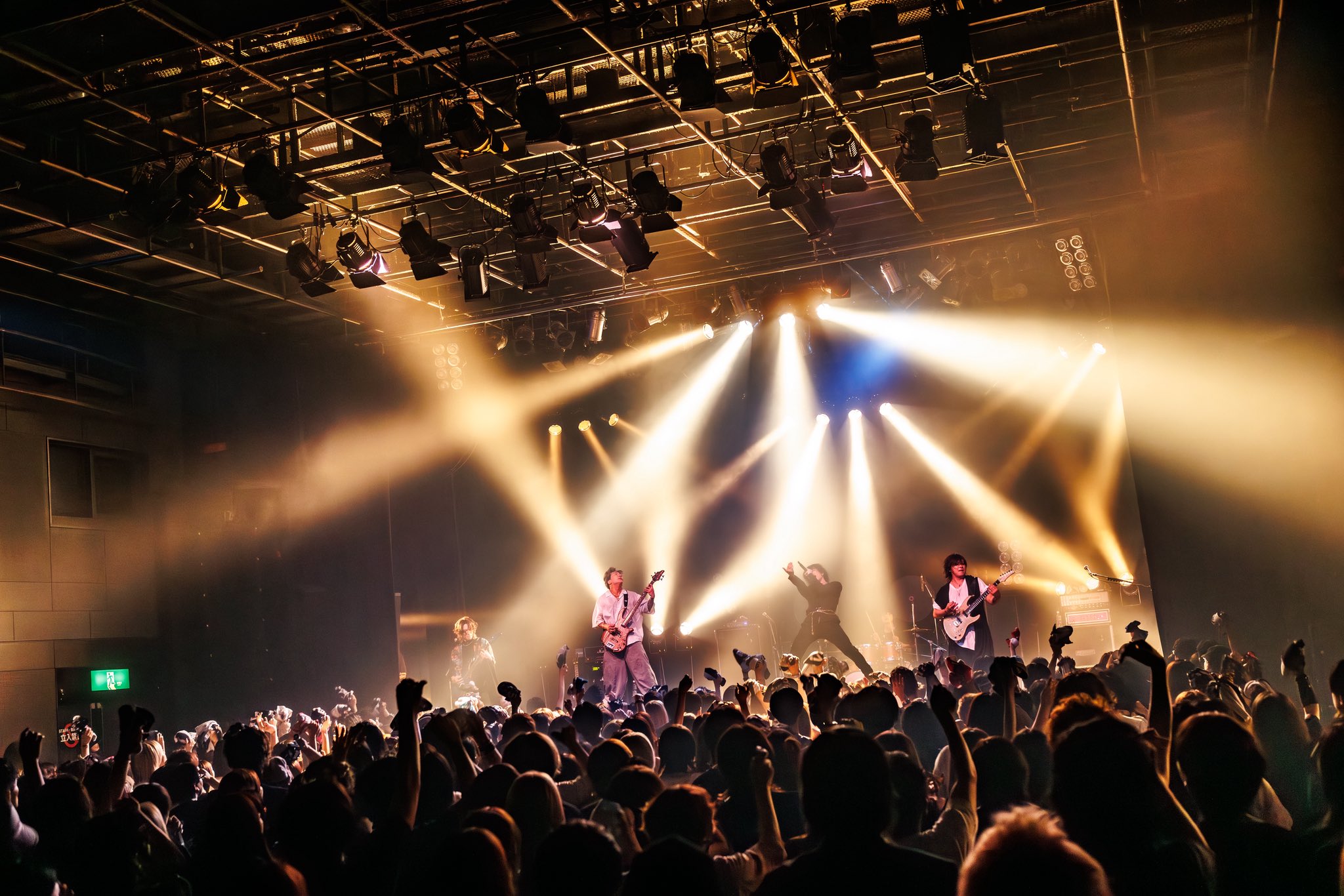 ViViD ライブDVD セット 楽天市場】ViViD LIVE DVDの通販