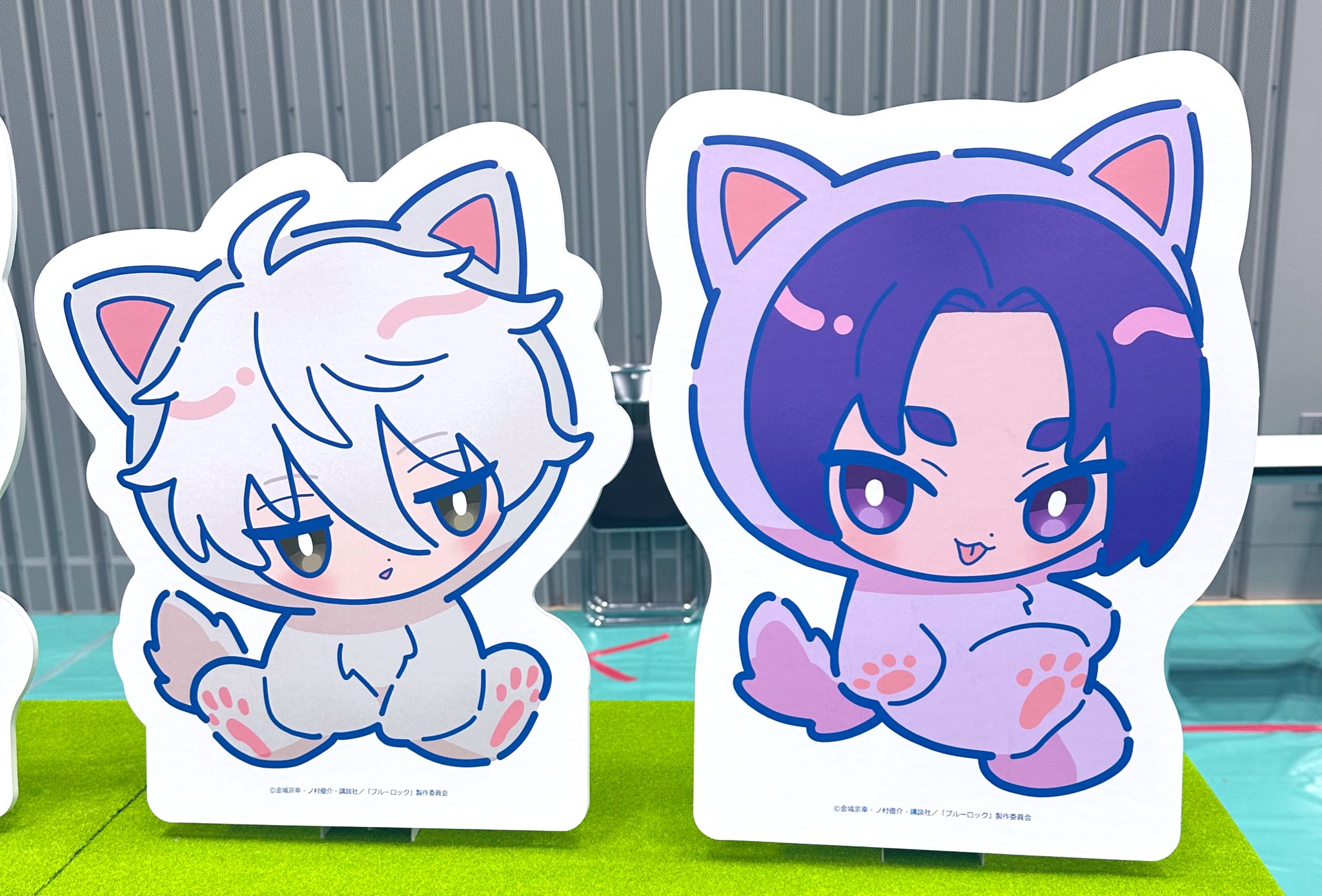 もちゃこ (@mochako3373) / X