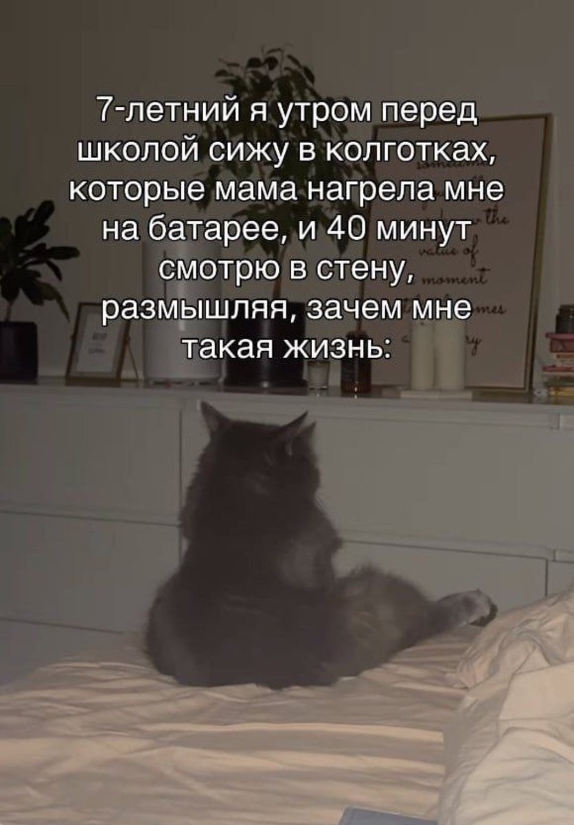 ⚜️Tea with cognac⚜️ tweet media