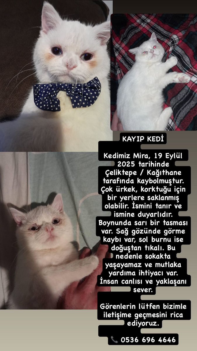 lütfen paylaşın hala bulunamamış