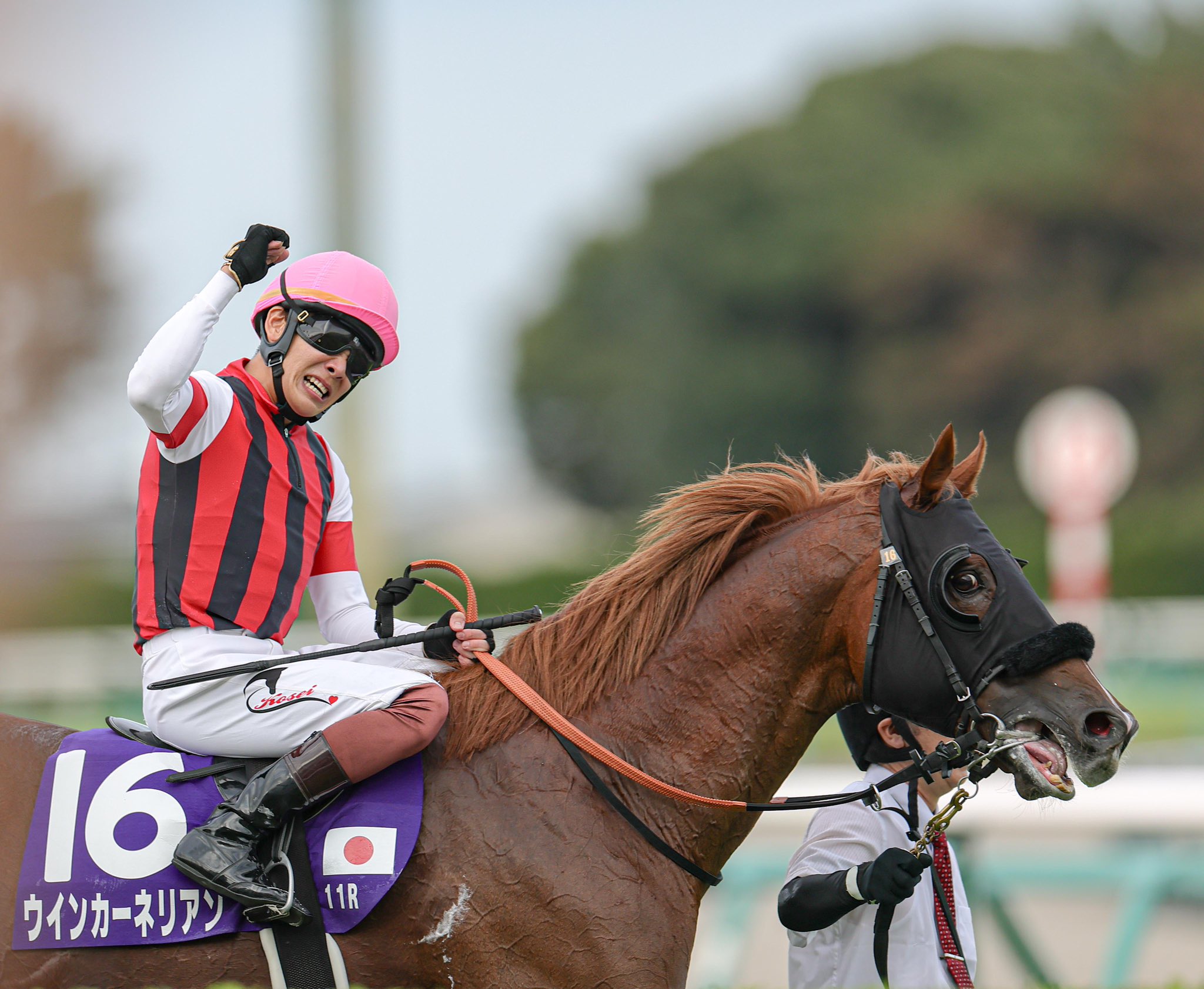 AVANTI Sサイズ 第35回スプリンターズS トロットスター AVANTI Sサイズ 第35回スプリンターズS トロットスター AVANTI S