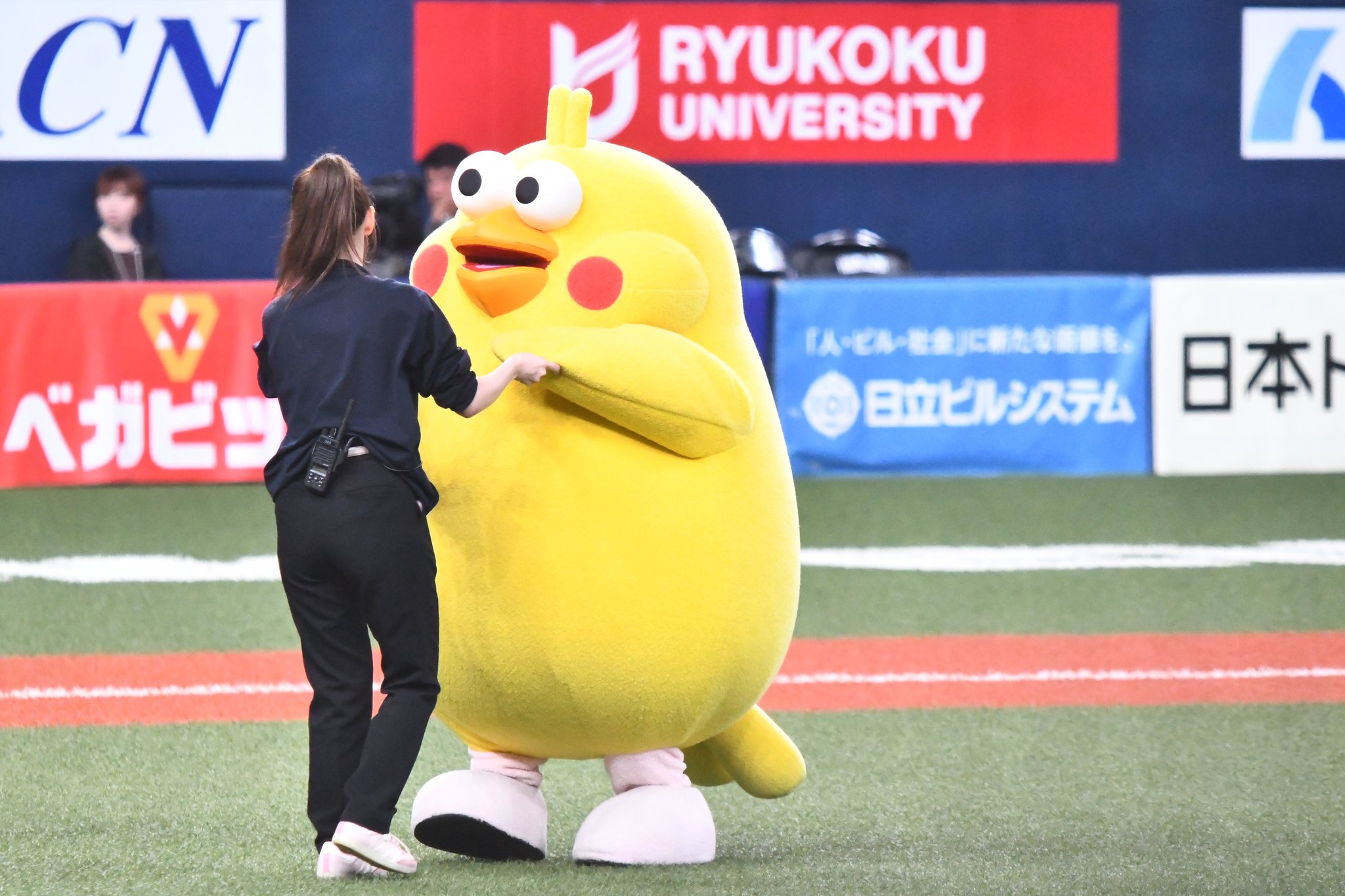 ぽいんこ ポインコの世界を覗いてみよう！