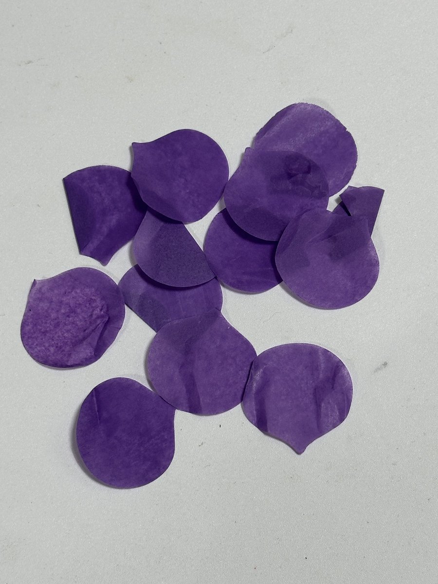 컨페티가 사이사이마다 나와🥹