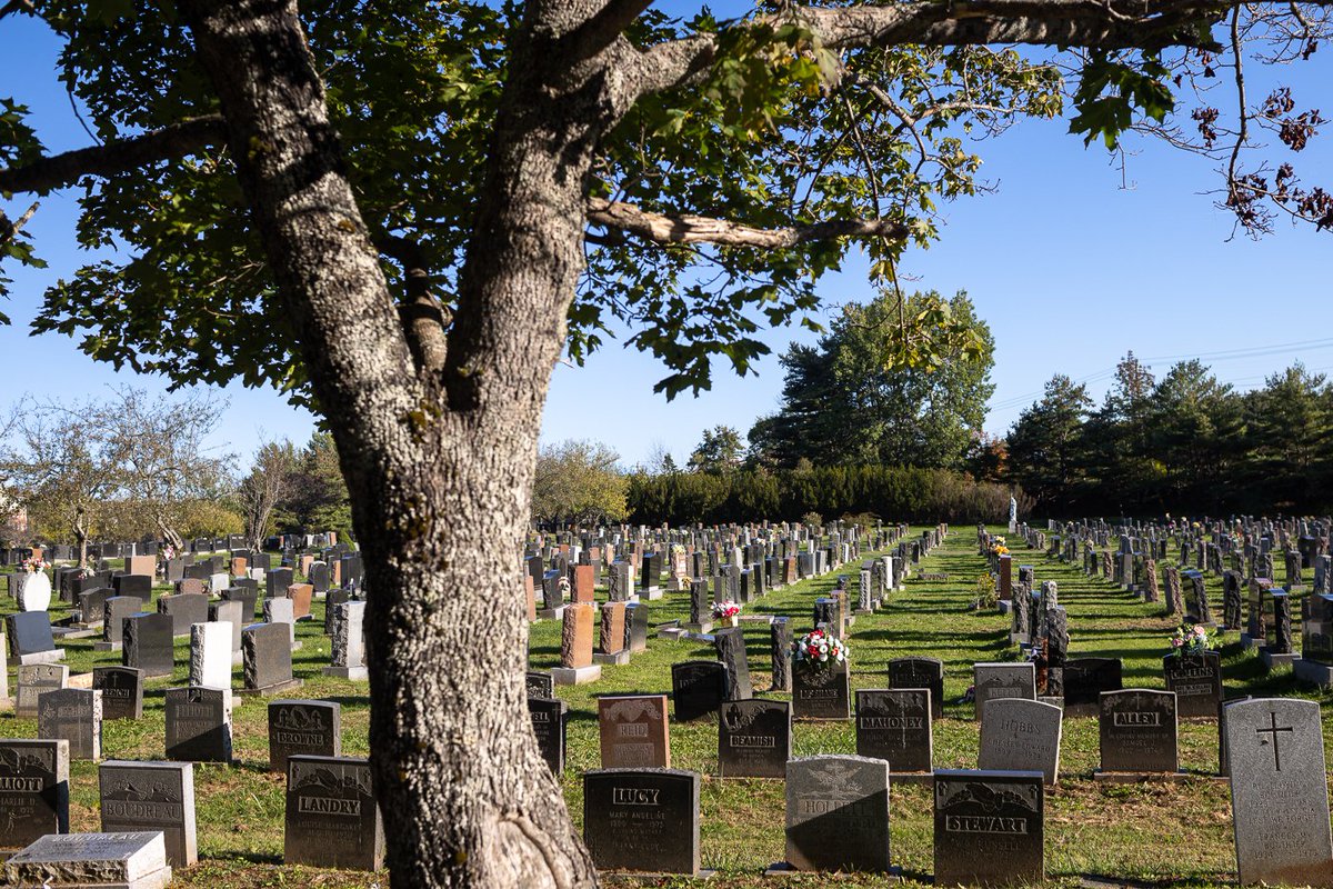 During his visit to Canada, Dr. Karol Polejowski, Deputy President of the Institute of National Remembrance, also marked the burial sites of Polish veterans.

Special plaques were affixed to the headstones of Stanisław Swianiewicz and Stanisław Bobr-Tylingo.