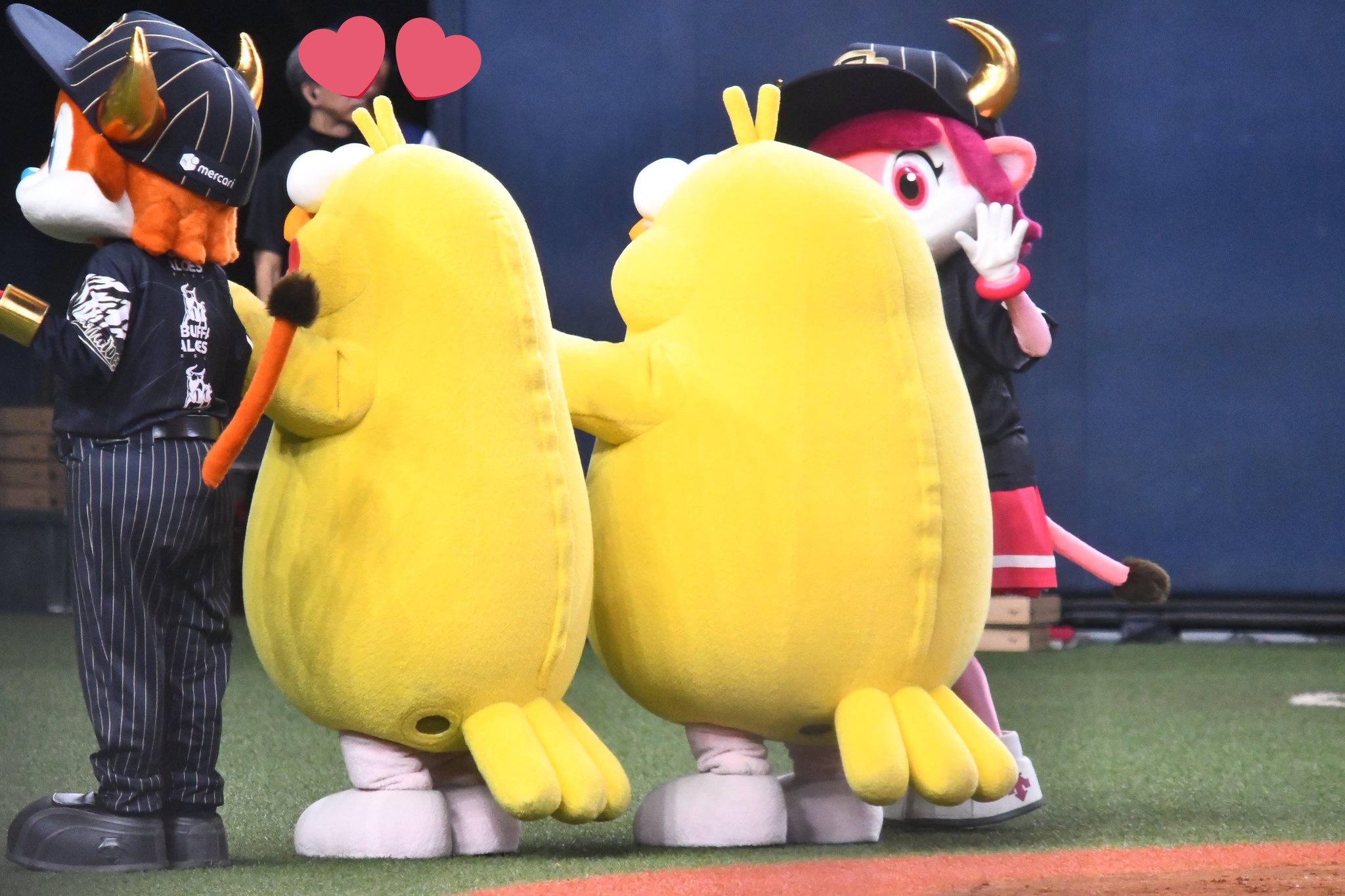 ぽいんこ F9hMouZbIAEU4_r.jpg