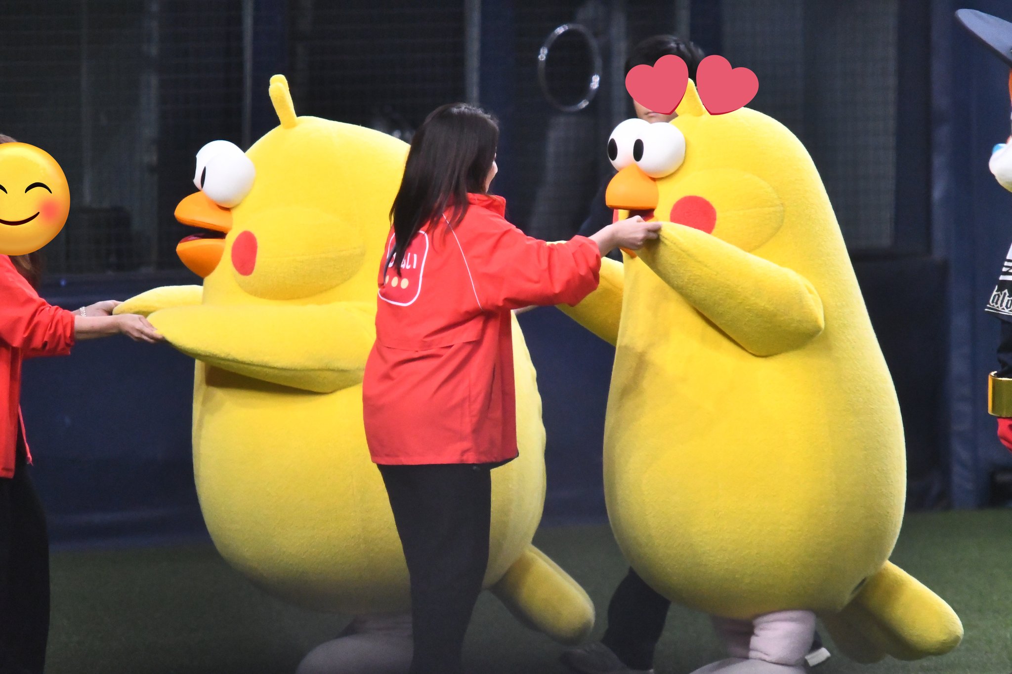 ポインコと山歩き🐥🐥🐾 (@paopaopanda_jp) / X