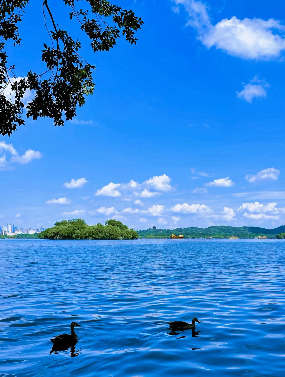 rayrayweb5's tweet image. 《“预测市场”赛道有哪些值得关注的项目 · 干货篇（第 3 集）》

“预测市场”中 @PolymarketBuild 最近新增了几个挂标项目，今天我们来继续分析，可以先收藏起来慢慢看~🔖🔖…