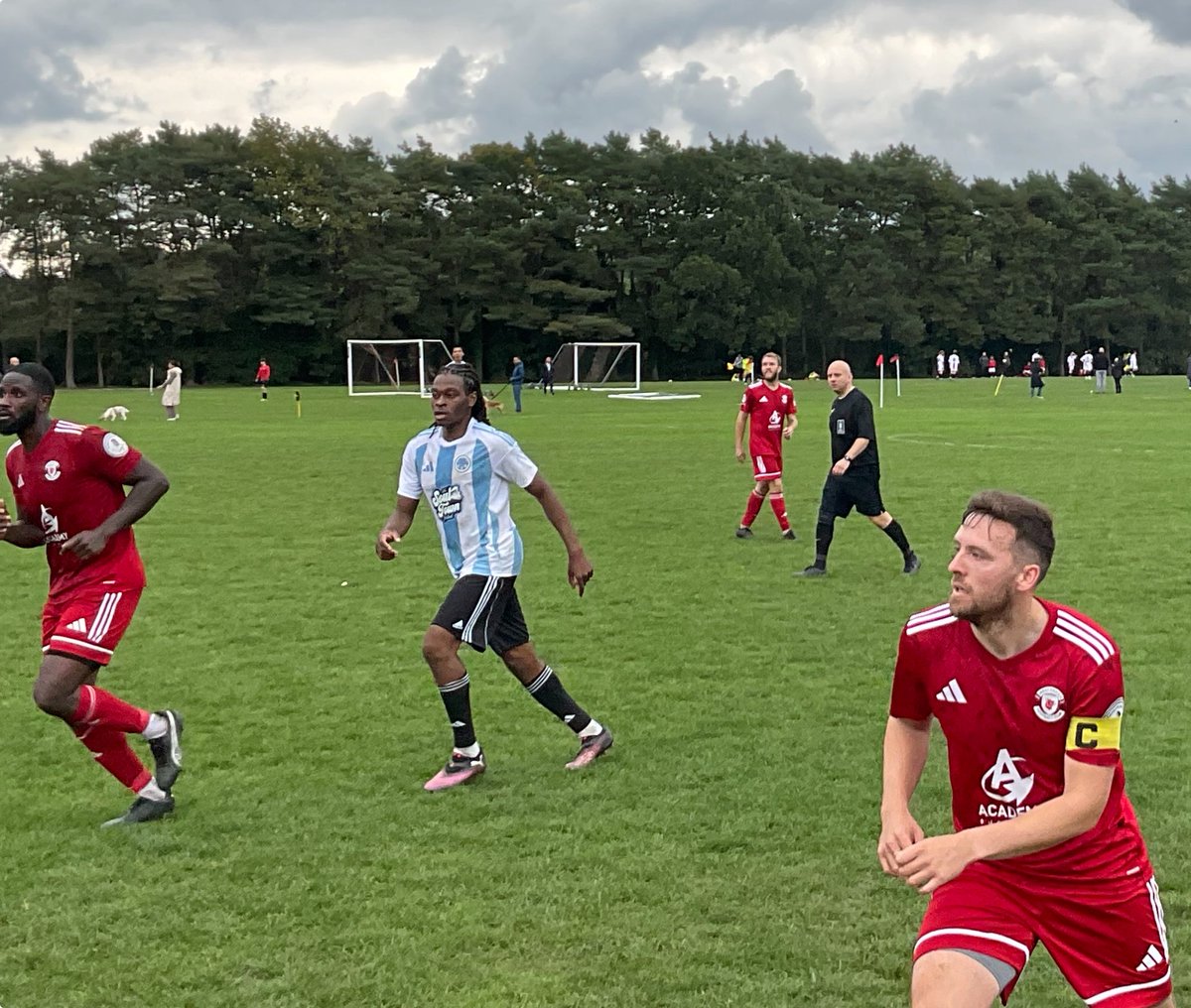 football dog tweet media