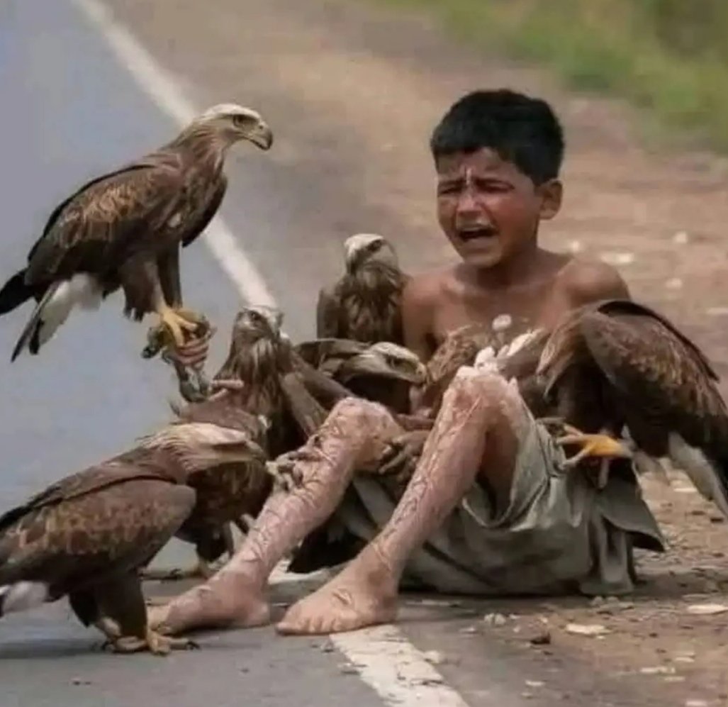 नोचिये मत-आराम से खाइए
       हम मुर्दा क़ौम हैं 
हम कहीं भागे तो नहीं जा रहे,