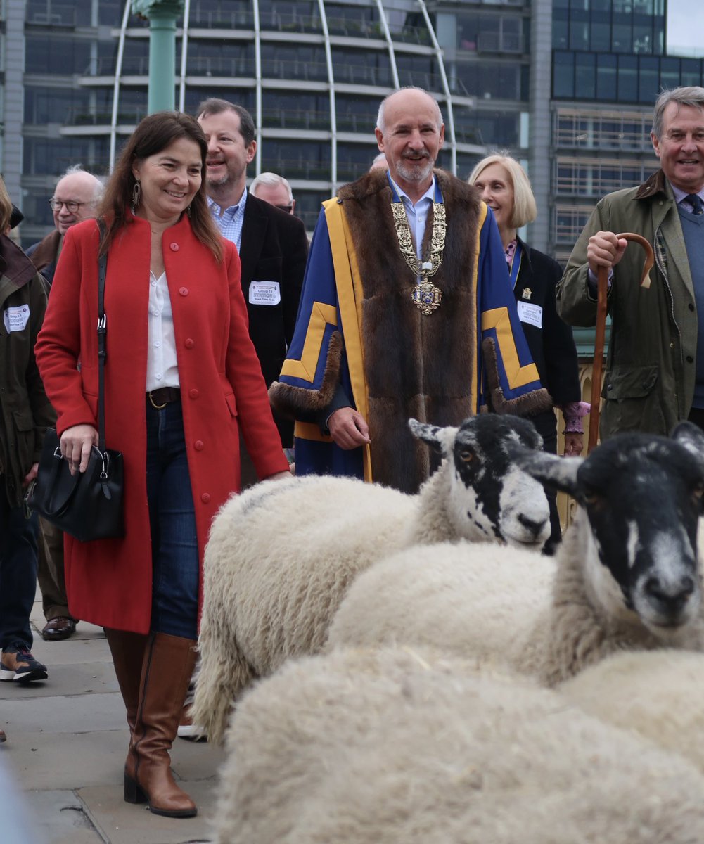 adam_cannon's tweet photo. What a morning! 🐑 Exercised my right as a Freeman of the City of London, driving sheep over Southwark Bridge! Such an incredible tradition, organised by my amazing friend and Master of @stationerscomms . Feeling so proud! #CityOfLondon #SheepDrive #Freeman #StationersCompany https://t.co/MINtGLOuKa