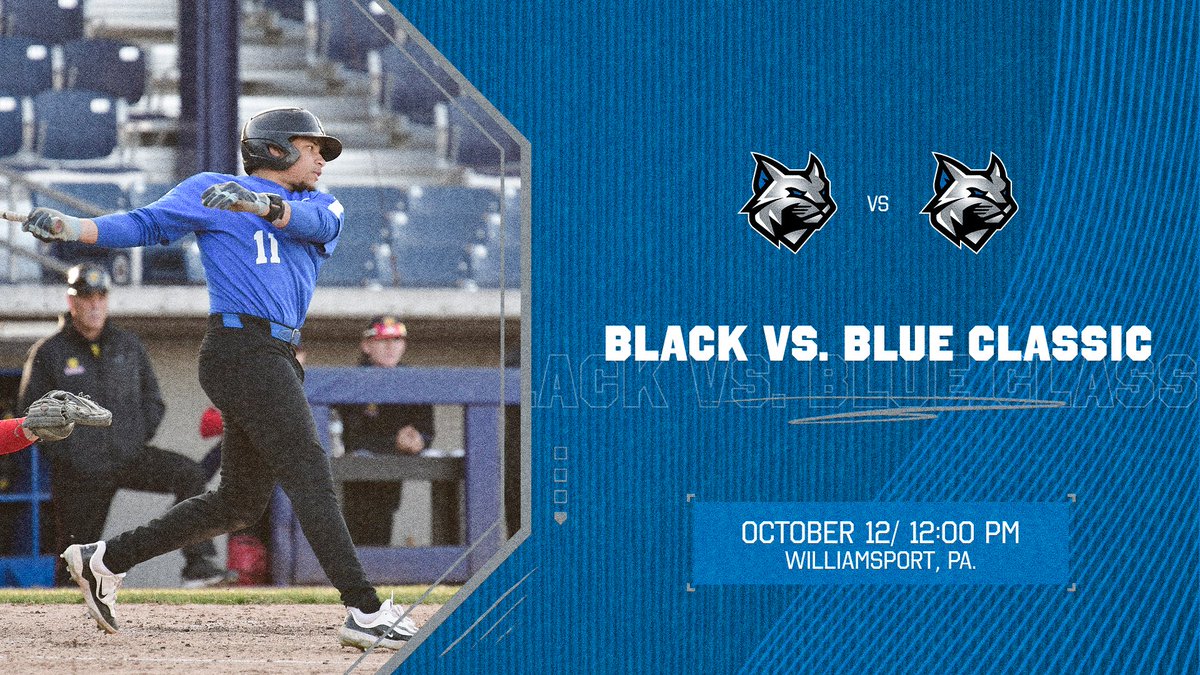 PCTBaseball's tweet image. We are only two weeks away from the annual Black vs. Blue Fall Classic.  This game promises to be the best one yet.  Come check out your Wildcat baseball team as they prepare for the '26 season.
#LetsGoCats
#TheBrotherhood
#FallBaseball