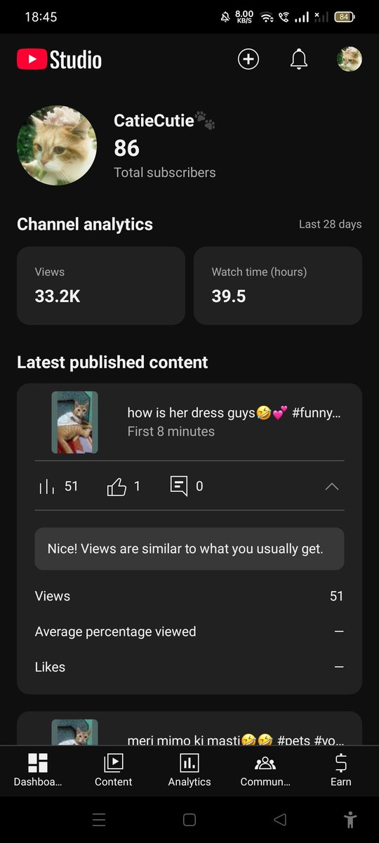 Codergirl tweet media