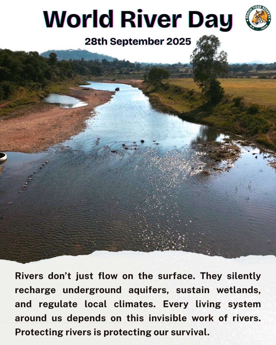 PenchMP's tweet photo. Rivers don’t just flow they recharge, sustain, and regulate life silently. From aquifers to wetlands, from climate to wildlife every living system depends on them. On this #worldriverday, let’s protect rivers, because protecting rivers is protecting our survival."
#worldriverday #saverivers #wildlifeconservation #protectnature #riverconservation #waterislife #sustainablefuture #biodiversitymatters