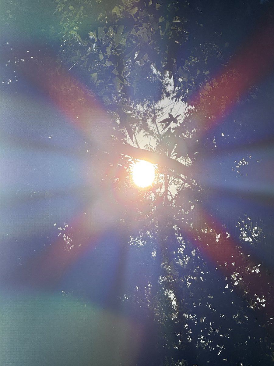 Evan (@eviaeai) on Twitter photo 