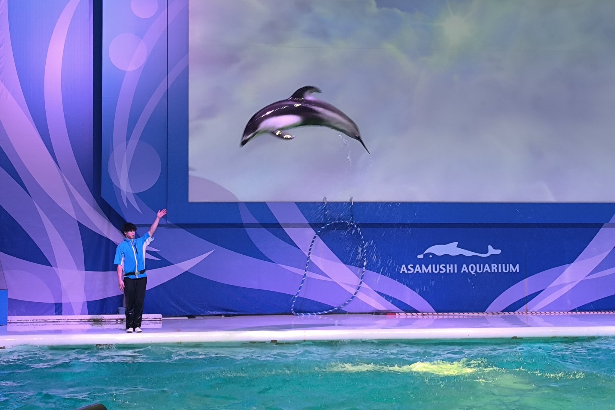 【イルカ】【道の向こう】…アクリル画 イルカ】【道の向こう】…アクリル画 アクリル画 イルカ 絵画