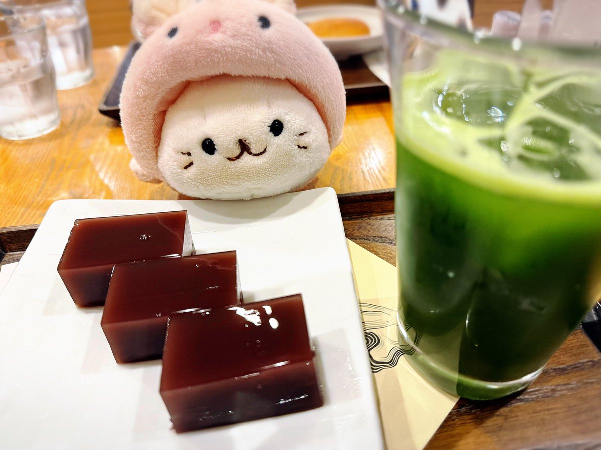 今日は京都にお出かけ！
"京都くらげ研究部"大好き♡
水族館行って、帰りに和菓子屋さんで食べた水羊羹とグリーンティー美味しかったなぁ🍵懐かしの味(*´꒳`*)
関東ではグリーンティーって見かけない…