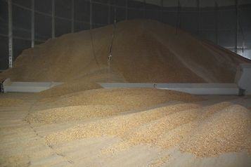 Termin realizacji inwestycji przez centra przechowalniczo-dystrybucyjne i rolno-spożywcze rynki hurtowe w ramach wsparcia z Krajowego Planu Odbudowy i Zwiększania odporności (KPO) został wydłużony.
🟢agropolska.pl/pieniadze/inwe…