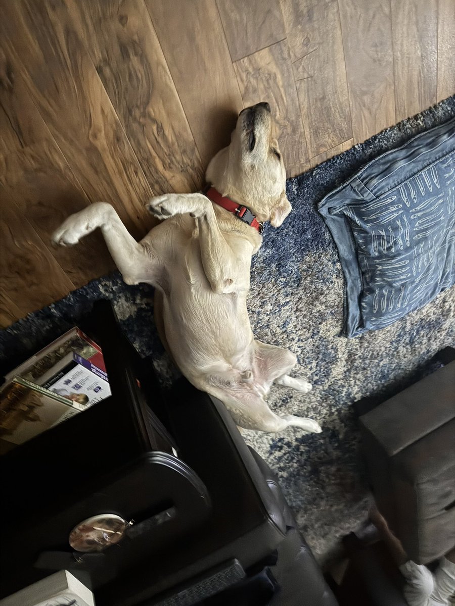 Lyle Stout tweet media