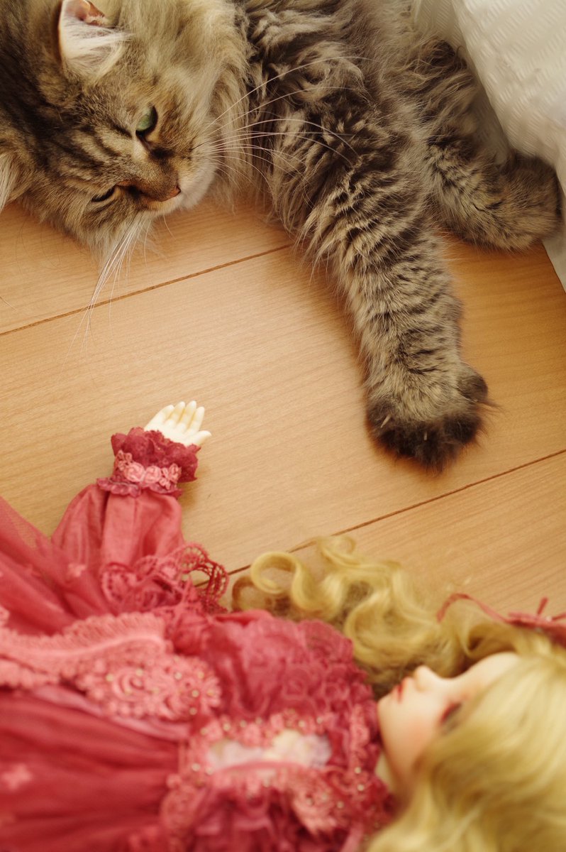 😺「かわいいお姫さま、ぼくと一緒にうとうとしなーい？」