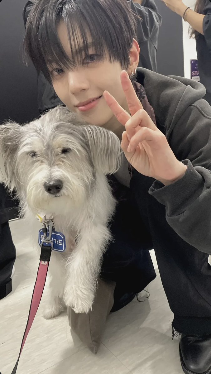 🧸🩵☆ tweet media