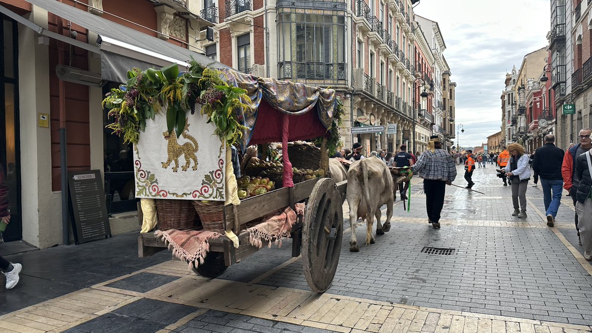 🦁🧵Día grande en #LeónEsp. Rememoramos la historia del pueblo leonés con la celebración de Las Cantaderas.