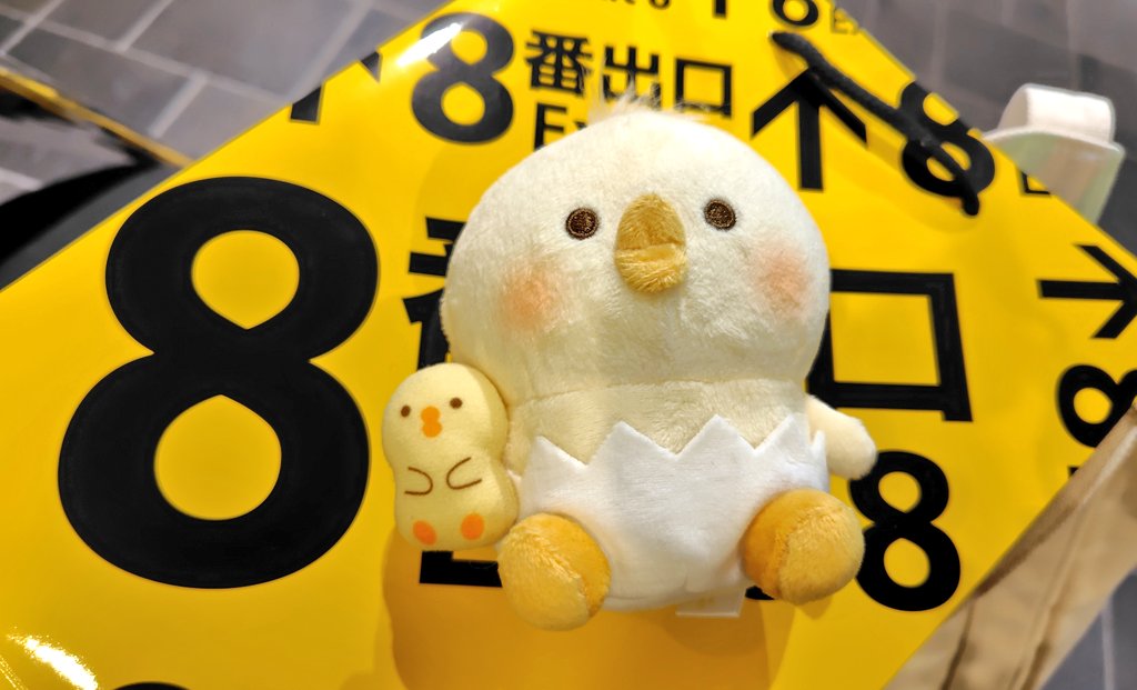 こちらはひよこ出品になります☺︎ hq720.jpg?sqp=-