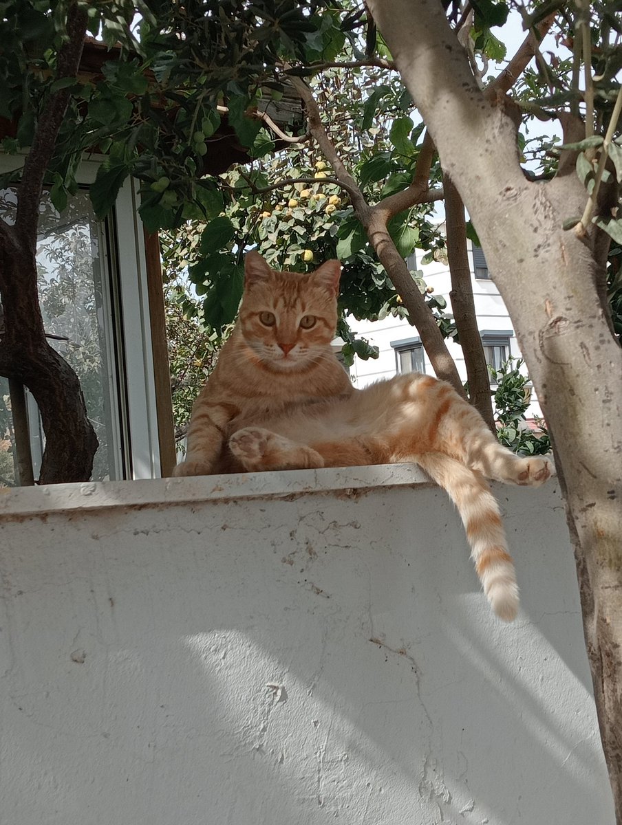 Denk gelişler...😻🧿