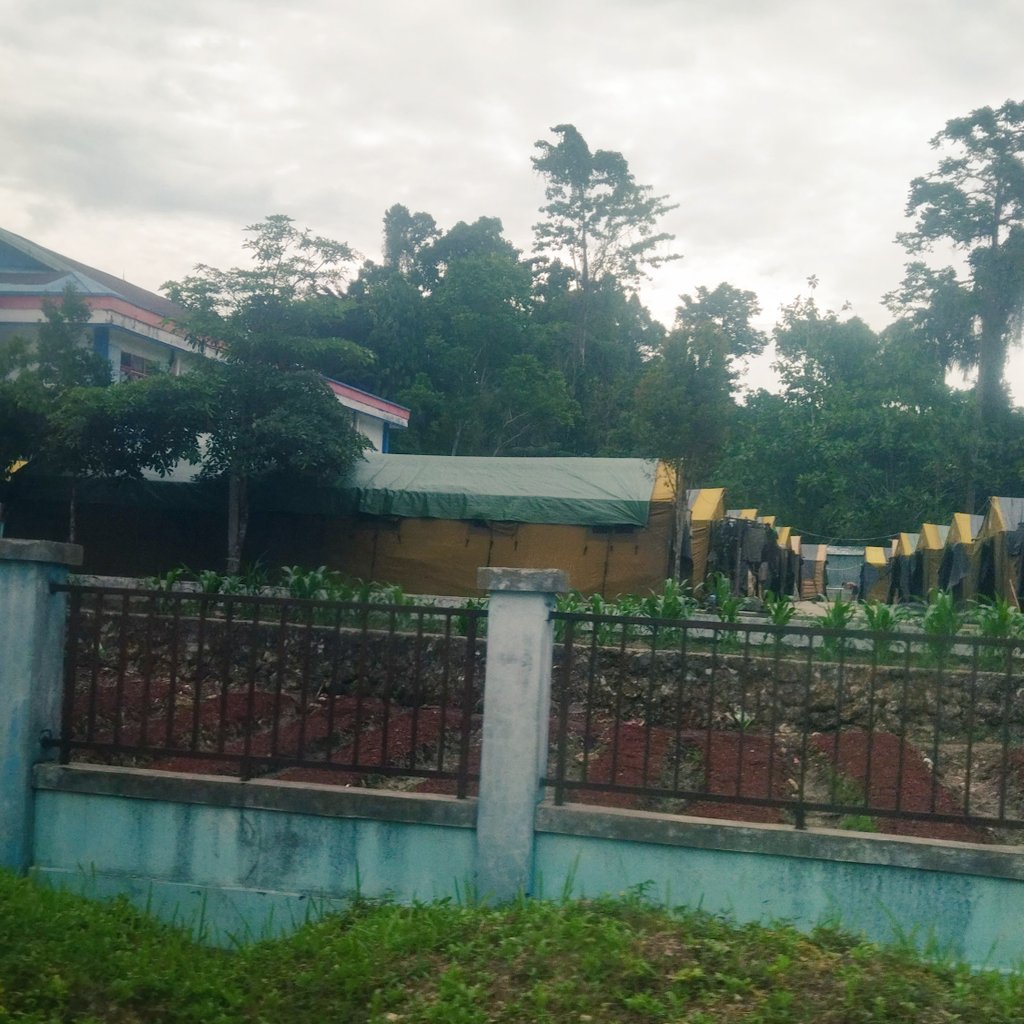 _nhdhd's tweet photo. Sebuah ironi. Pemerintah tlh menyetujui 50 ha unt markas Batalyon Teritorial Pembangunan di Sorong Selatan. Sementara masyarakat adat di sana dipersulit unt mendapatkan pengakuan atas wilayah hutan adat mereka.
#PapuaBukanTanahKosong https://t.co/GObwzq4fNy
