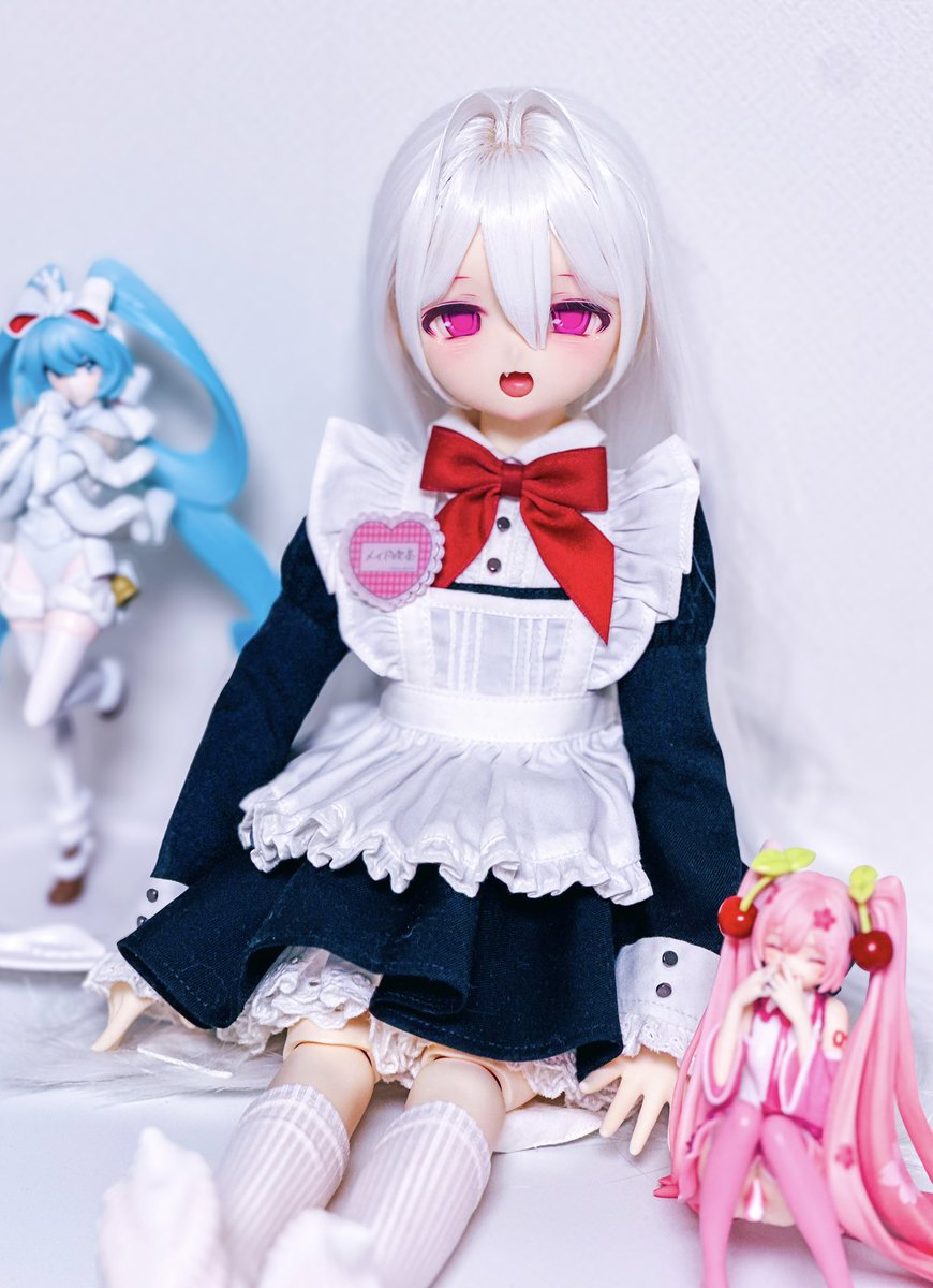 메이드쨩 귀여워💕💕

#うちのこかわいい