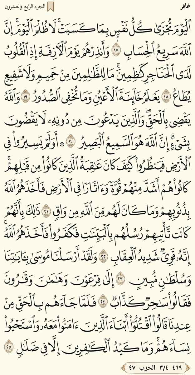 Shereef_Wagih79's tweet image. مساء الخير........ورد الاحد