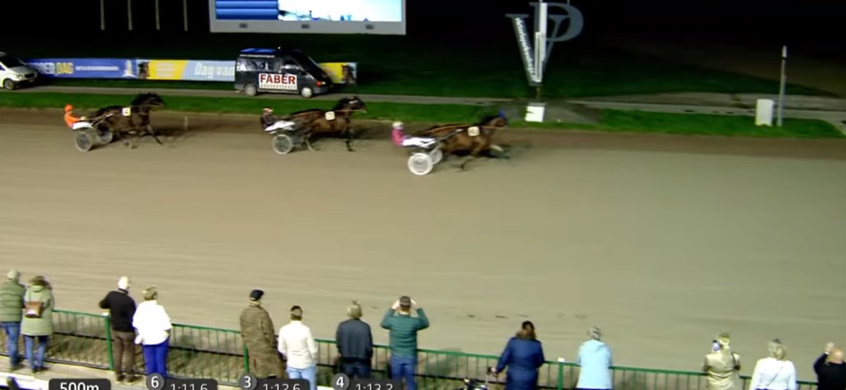Bros Stables tweet media