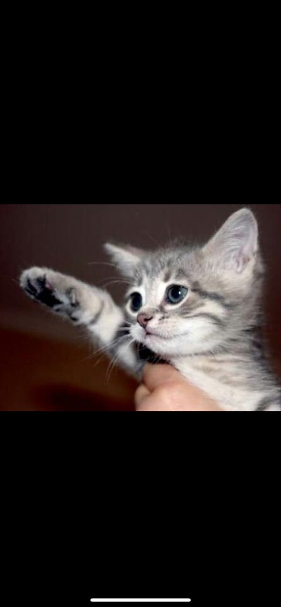 <a href="/NadjiaFoxx/">Foxx 🦊</a> 🤍🤍🫡