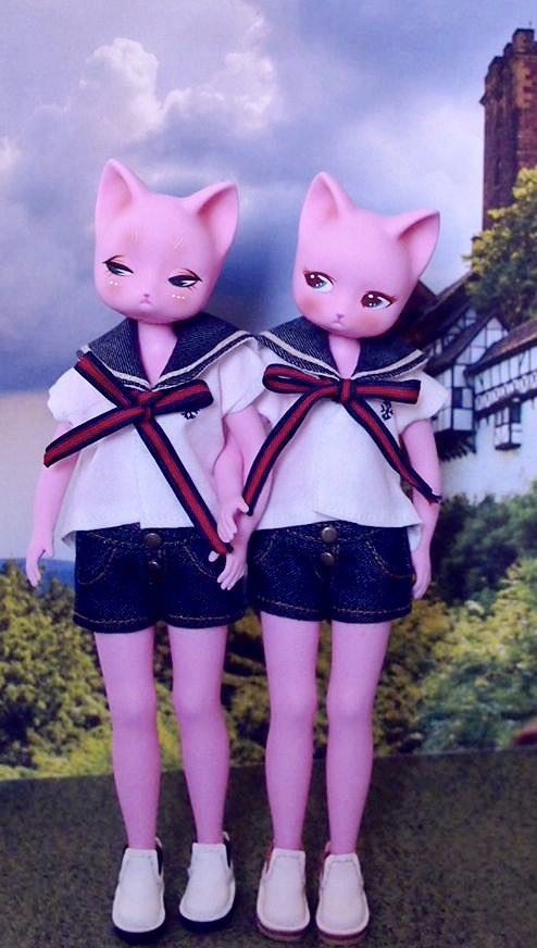 Knyan280's tweet image. 猫娘ズ＆ちび猫ズ🐾 #PIPOS