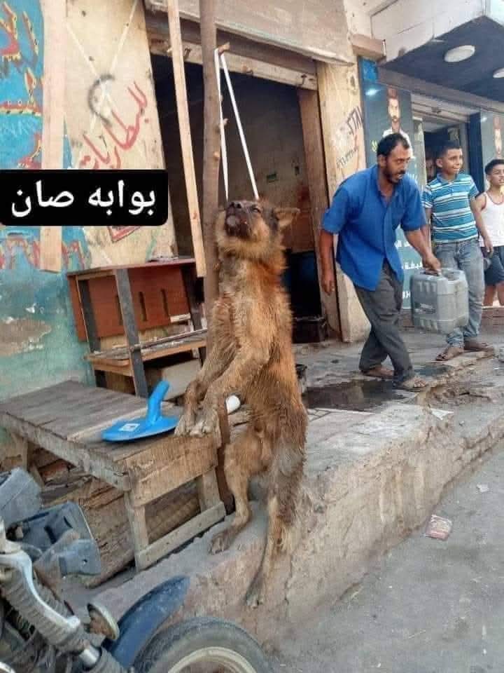 sengendo joseph3 tweet media