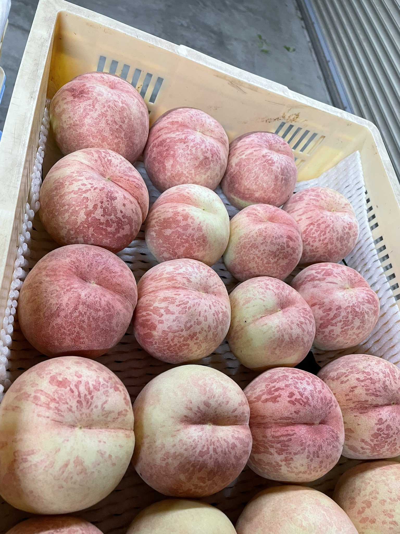 🍑Qちゃん🍑 (@noromanmomo) / X