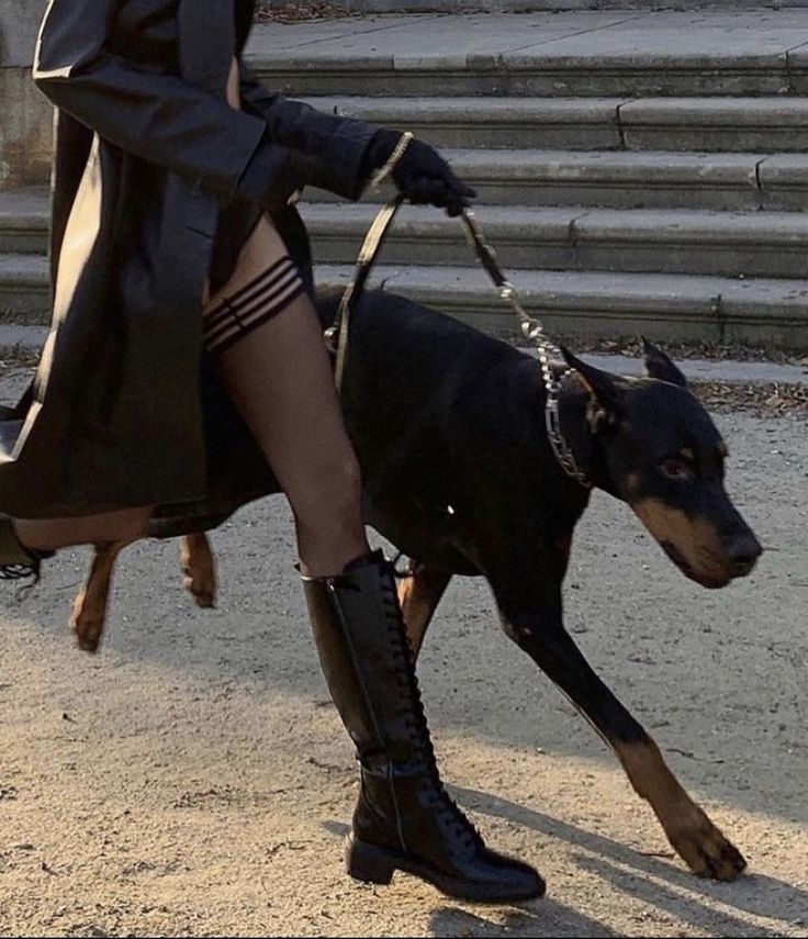 #papieroweTDSOD

,, Do pomieszczenia wbiegły trzy dobermany. Zatrzymały się w niedalekiej odległości od nas. Urosły od czasu, kiedy ostatni raz je widziałem. Teraz rozumiałem znaczenie ich imion, które idealnie do nich pasowały.

Violence, Terror, Chaos.  "