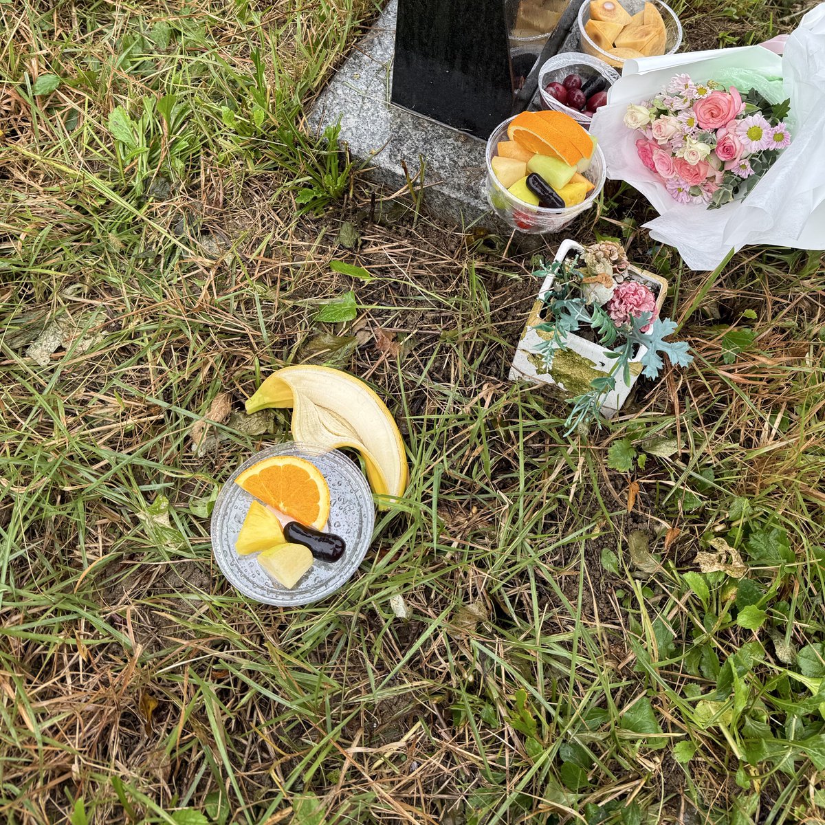 옆에 허부 씨도 뿌리고왔는데,
운좋게 자라면 좋겠다 😆

아기토끼
맛잇게 먹었으면. 오늘 꿈에 나오걸아.