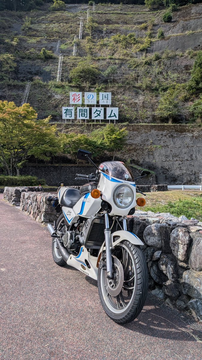 やまもとり Rick's Motorsport Electrics Stator Kawasaki Ninja ZX-6 / ZX