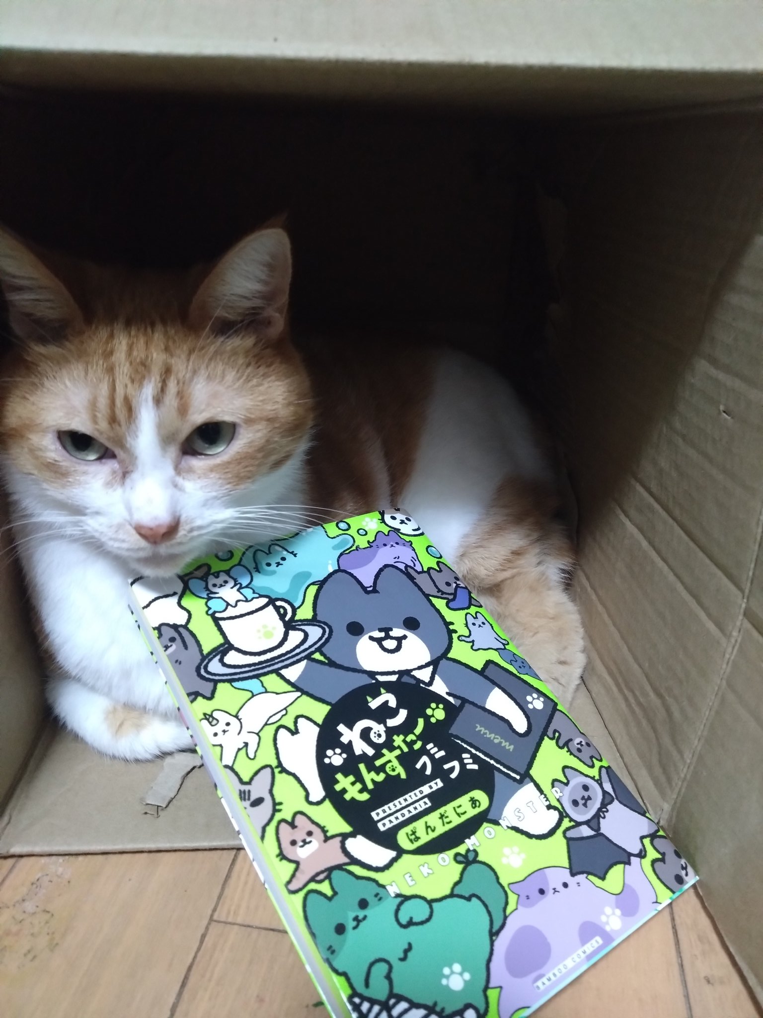 ❤みけねこ屋本舗さま❤書いたことが叶うペン❤ ❤みけねこ屋本舗さま❤書いたことが叶うペン❤