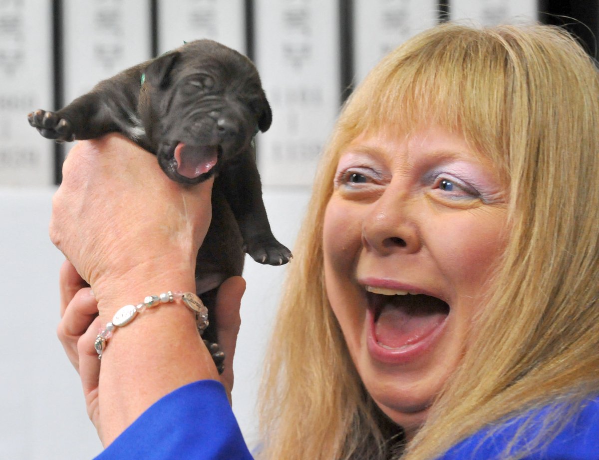 Kloni so tu! 
Kloniranje so pograbile premožne stranke, vajene, da vsi vedno izpolnijo njihove želje. Med strankami podjetja ViaGen sta bila Barbra Streisand, ki je dobila tri klone svojega pokojnega psa in družina Pabla Escobarja, ki je naročila kloniranje konja. STR. 52