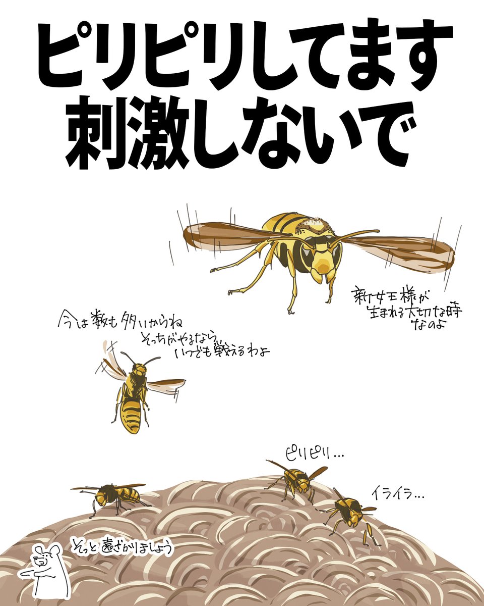 yasuアリさん (@yasu26398659) / Posts / X