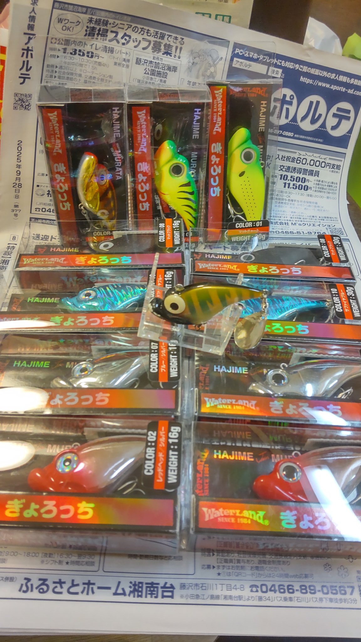 ぎょろっち - Search / X