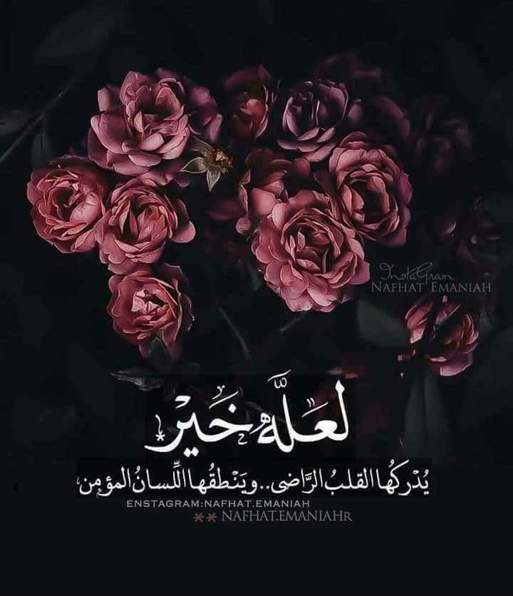 احمد الهذلي °•° (@aswmalhudli) on Twitter photo 