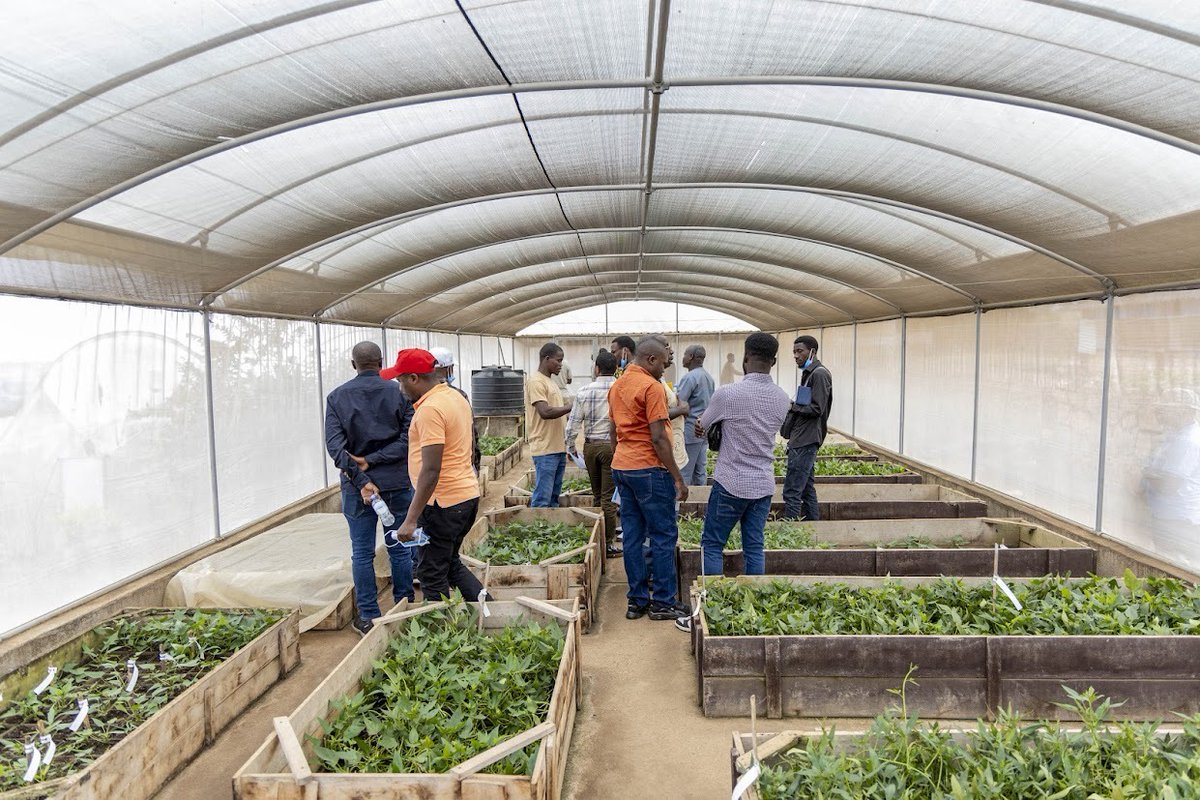 CipotatoRW's tweet image. Under @CIATB4WE21614 the climax of the training, at @RwandaAgriBoard, Rubona station, participants gained hands-on experience in building a sustainable #Sweetpotato seed system #OFSP, from tissue culture lab to screenhouse to field multiplication  #FoodSystems  @Cipotato.