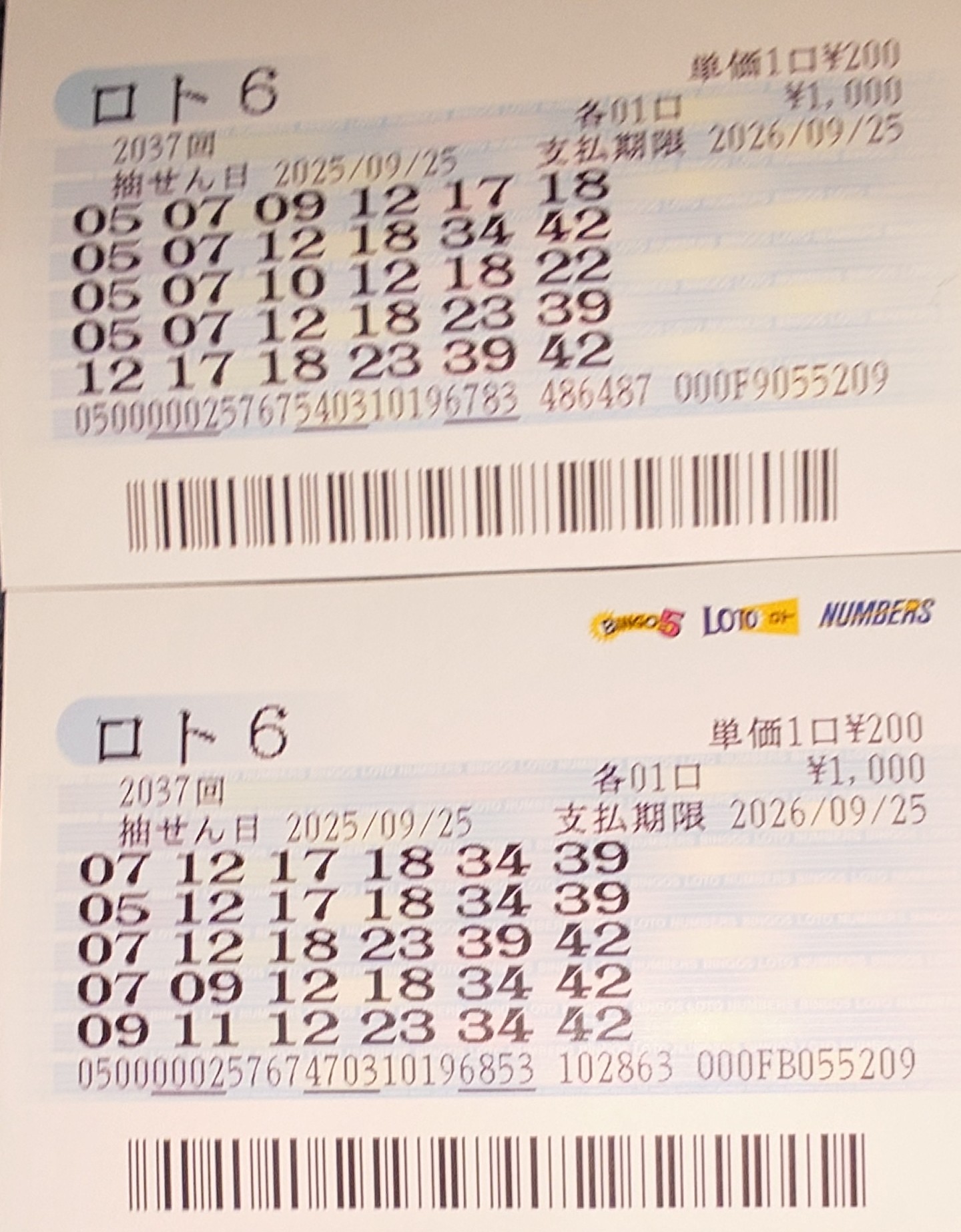 記入済ロト6申込カード358枚 ロト6当選番号速報 最新回抽選結果 ｜ 確率をアップする法